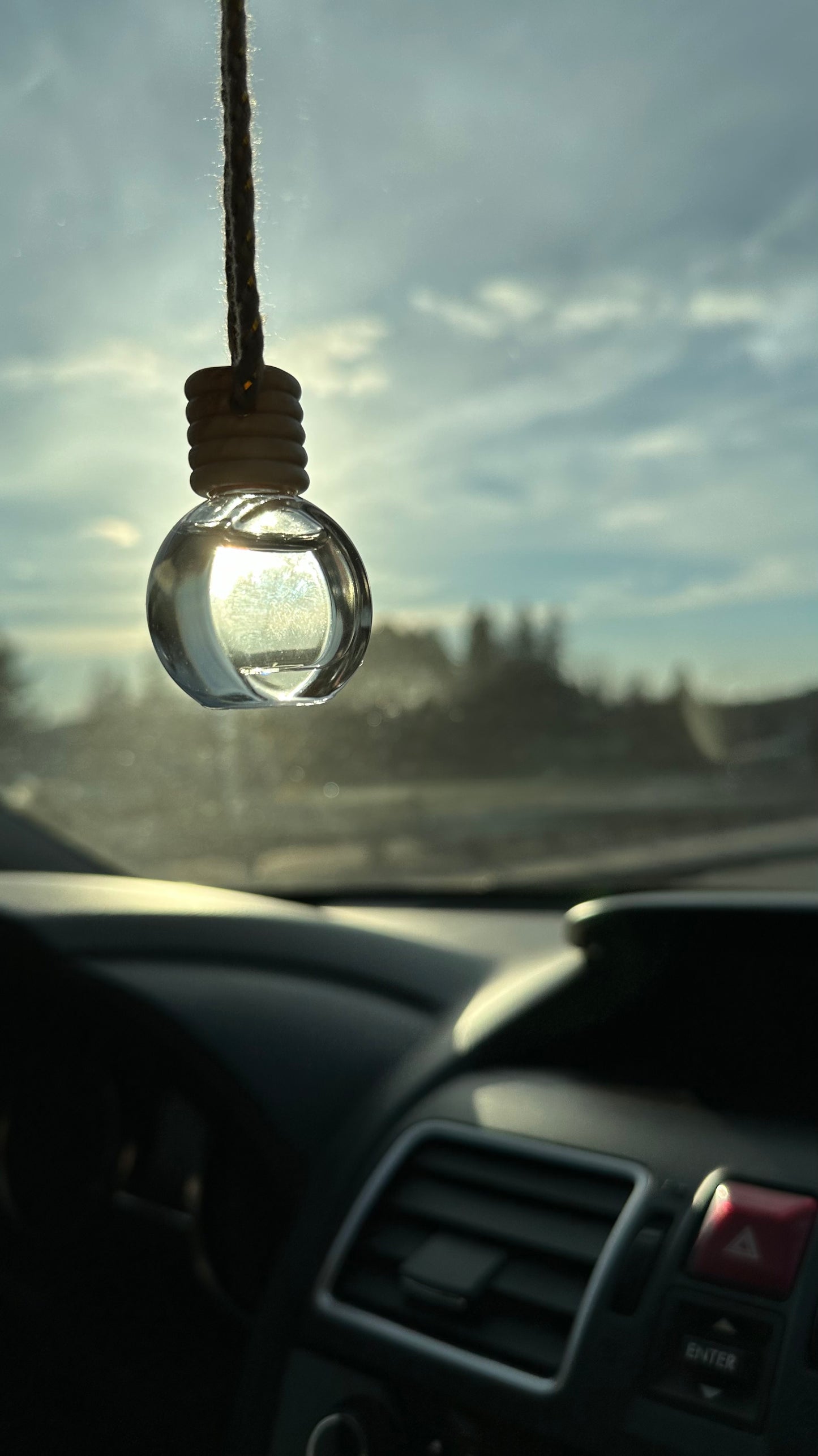 Diffuseur de voiture | Canneberge