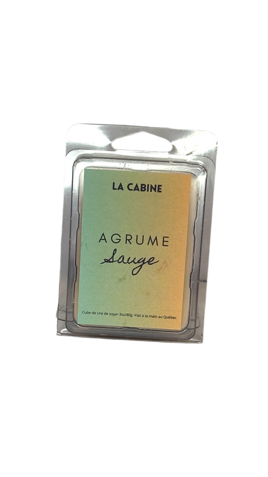 Cubes de cire | Agrume & Sauge