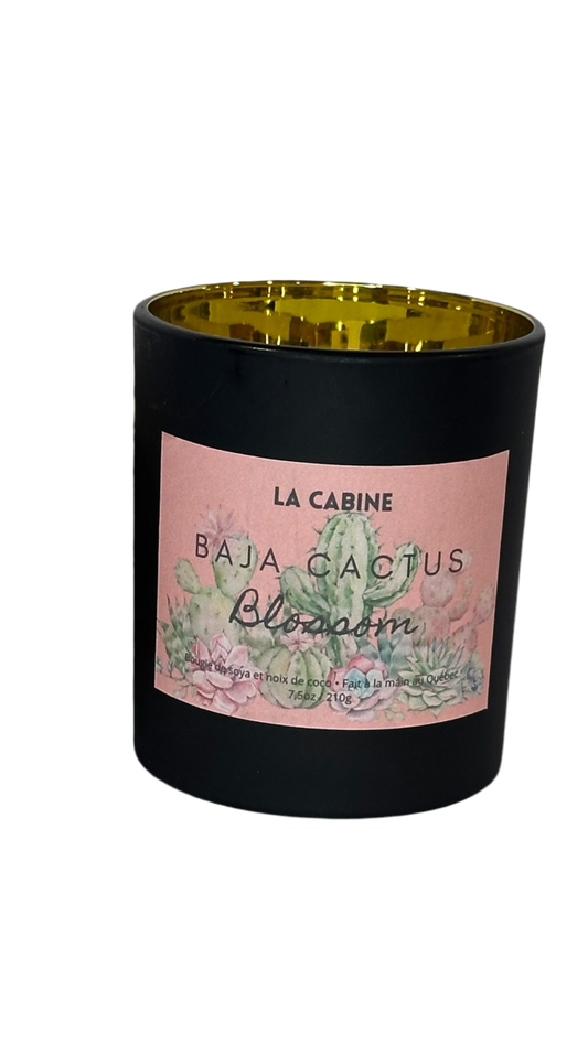 Bougie | Baja Cactus Blossom